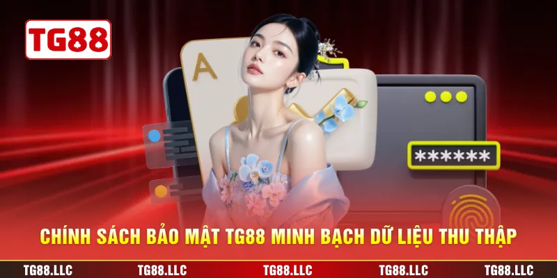 Chính sách bảo mật TG88 minh bạch dữ liệu thu thập