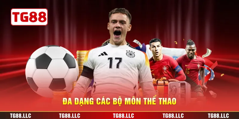Đa dạng các bộ môn thể thao