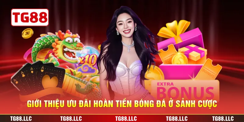 Giới thiệu ưu đãi Hoàn tiền bóng đá ở sảnh cược