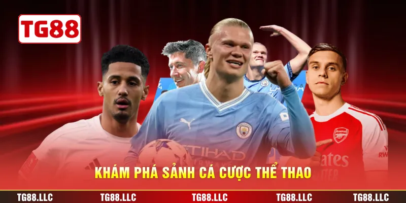 Khám phá sảnh cá cược thể thao