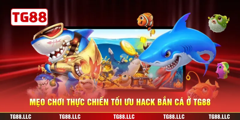 Mẹo chơi thực chiến tối ưu hack bắn cá ở TG88
