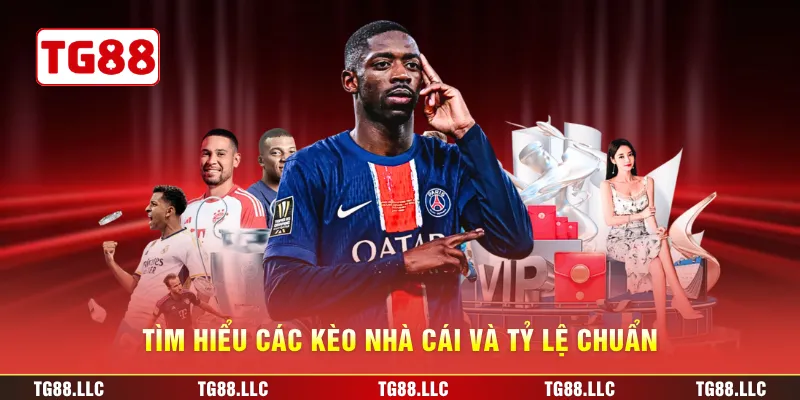 Tìm hiểu các kèo nhà cái và tỷ lệ chuẩn