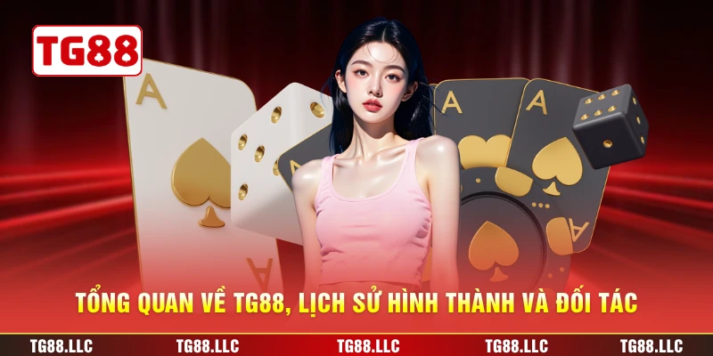 Tổng quan về TG88, lịch sử hình thành và đối tác