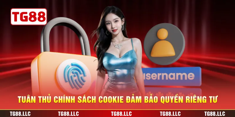 Tuân thủ chính sách Cookie đảm bảo quyền riêng tư