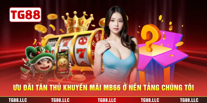 Ưu đãi tân thủ khuyến mãi MB66 ở nền tảng